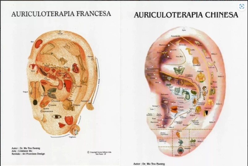Auriculoterapia teorema
