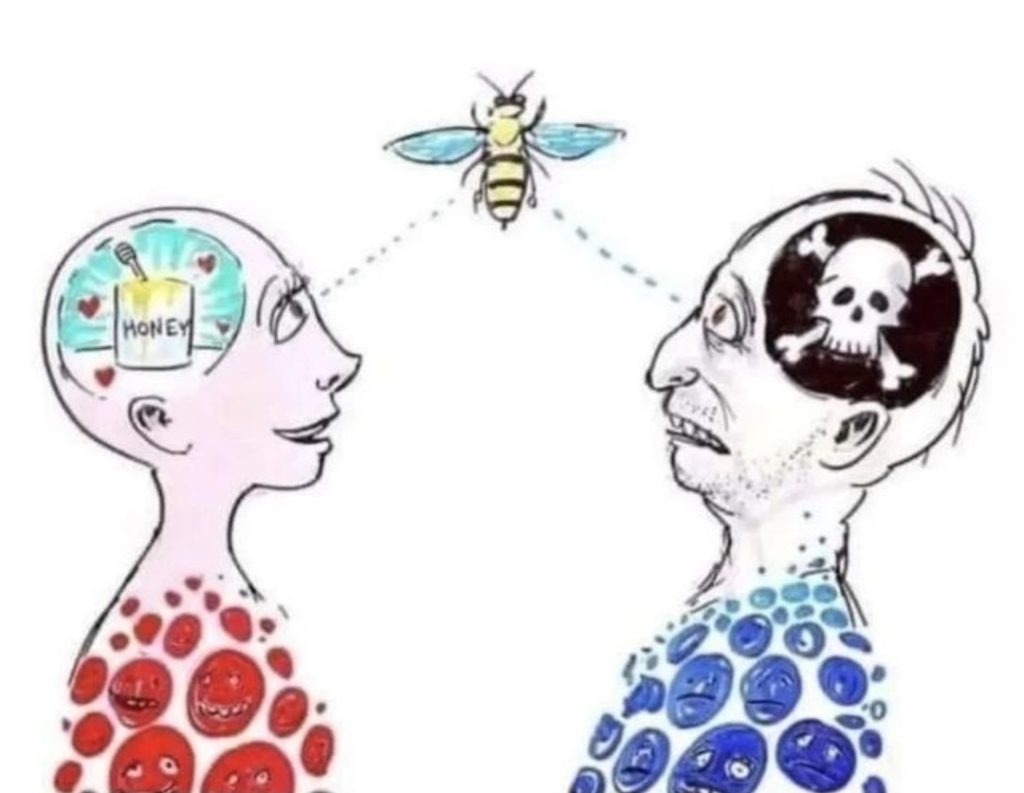 Psicanálise e fantasia