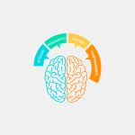 Terapia cognitivo comportamental (TCC)