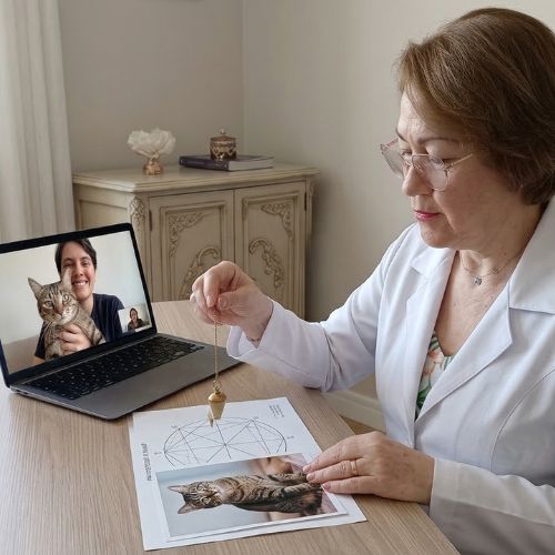 A terapeuta Ana Aguiar, de pele clara, tem cabelos curtos castanhos claros, bem arrumados. Usa óculos de armação fina e batom rosado. Veste jaleco branco, com uma blusa estampada por baixo, e uma corrente no pescoço com pingente. Usa aliança na mão esquerda. Está sentada e segura, na mão direita, um pêndulo direcionado a um mapa. Ao lado, há uma foto de um gato. À direita, há um notebook aberto; na tela maior, aparece uma mulher de pele clara, com cabelos castanhos escuros presos, sorrindo e segurando um gato. Abaixo, à esquerda, há uma tela menor em que não é possível identificar claramente a pessoa.
