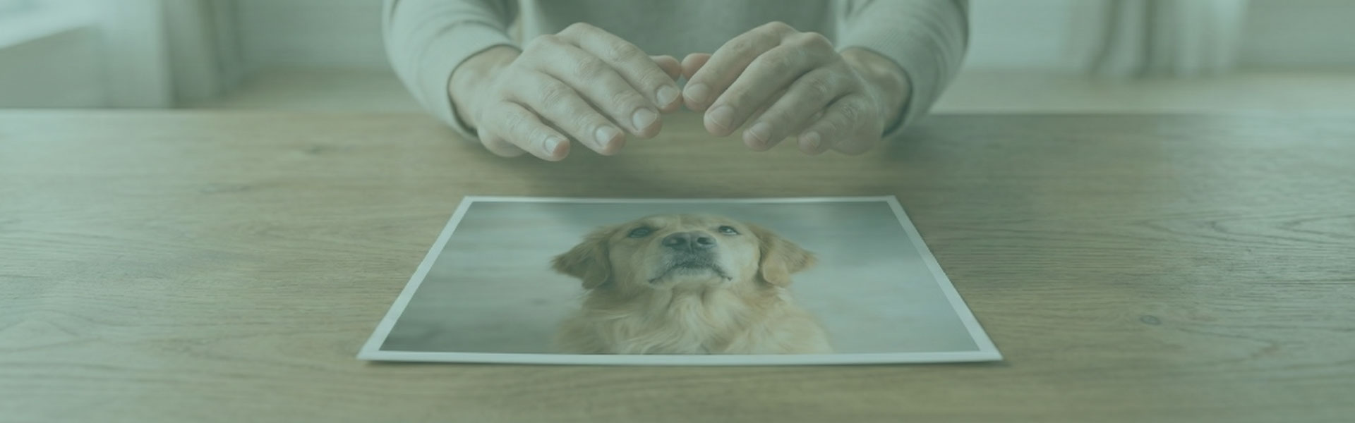 Terapeuta mantém as mãos sobre a foto de um cachorro dourado, apoiada sobre uma mesa.